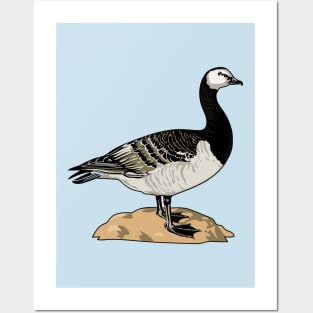 Barnacle Goose Posters and Art